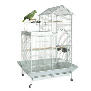 parrot cage