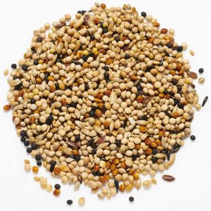 finch seed mix