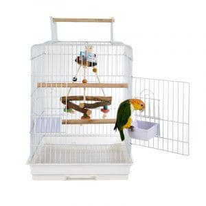 santa monica bird cage