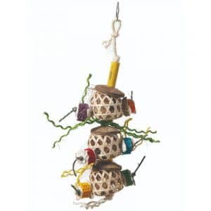 foraging toy