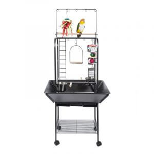 parrot stand