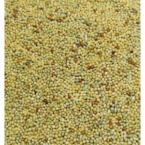 Colonels Budgie seed mix