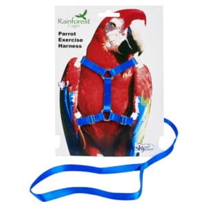 parrot harness