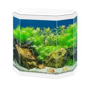 Ciano Aqua 30 Aquarium With LED Light