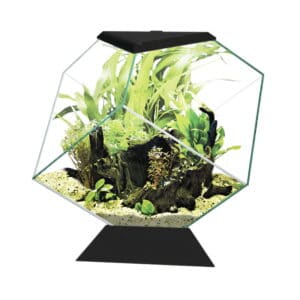 Ciano Nexus Diamond Aquarium
