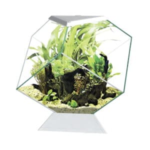 Ciano Nexus Diamond Aquarium