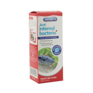 Interpet Anti Internal Bacteria Plus